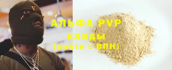 индика Балабаново