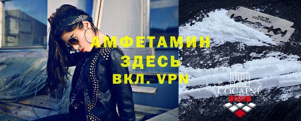 индика Балабаново