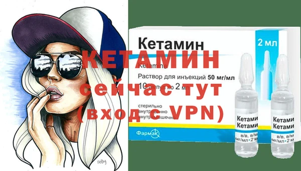 индика Ельня