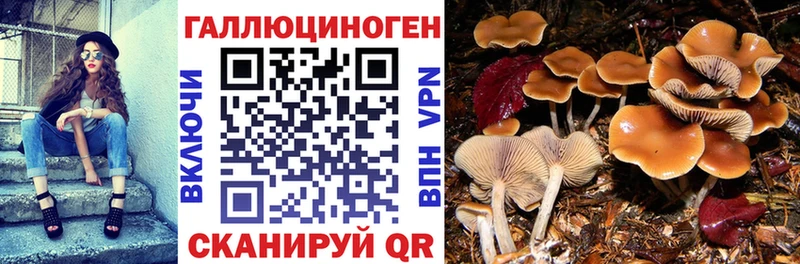 Галлюциногенные грибы мицелий  Белый 